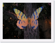 P1010072 * 614 x 461 * (57KB)