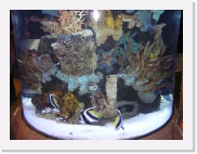 P1010073 * 614 x 461 * (70KB)