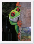 P1010077 * 461 x 614 * (60KB)