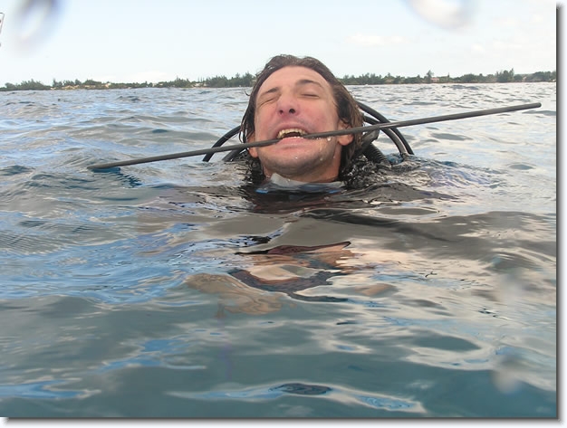 Diapositive suivante