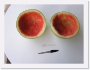 P1010004 * 614 x 461 * (46KB)