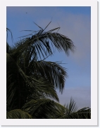 P3060181 * 461 x 614 * (61KB)