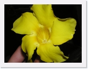 P3100071 * 614 x 461 * (49KB)