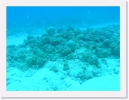 q3020023 * 614 x 461 * (56KB)