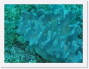 q3020025 * 614 x 461 * (64KB)