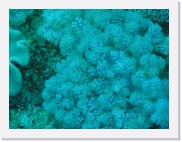 q3020039 * 614 x 461 * (76KB)