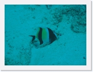 qP3020031 * 614 x 461 * (54KB)