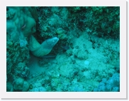 qP3020033 * 614 x 461 * (82KB)