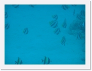 qP3020036 * 614 x 461 * (44KB)