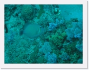 qP3020046 * 614 x 461 * (74KB)