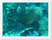 qP3020048 * 614 x 461 * (77KB)