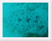 qP3020053 * 614 x 461 * (54KB)