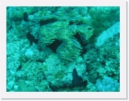 qP3020054 * 614 x 461 * (81KB)