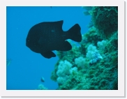 qP3020067 * 614 x 461 * (53KB)