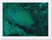 qP3020081 * 614 x 461 * (59KB)