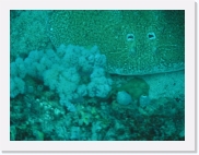 qP3020099 * 614 x 461 * (63KB)