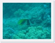 qP3020163 * 614 x 461 * (71KB)