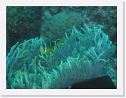 qP3040131 * 614 x 461 * (69KB)