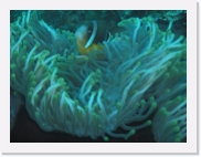 qP3040133 * 614 x 461 * (48KB)