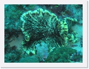 qP3040139 * 614 x 461 * (78KB)