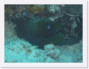 qP3040144 * 614 x 461 * (54KB)