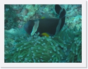 qP3040145 * 614 x 461 * (50KB)