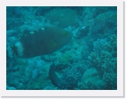 qP3040146 * 614 x 461 * (45KB)