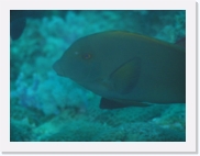 qP3040151 * 614 x 461 * (25KB)