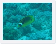 qP3040156 * 614 x 461 * (58KB)