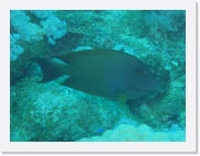 qP3040161 * 614 x 461 * (60KB)