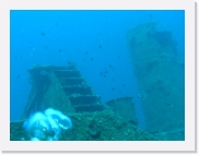 qP3080251 * 614 x 461 * (48KB)