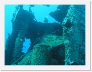 qP3080255 * 614 x 461 * (66KB)