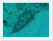 qP3080262 * 614 x 461 * (66KB)