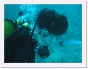 qP3080265 * 614 x 461 * (58KB)