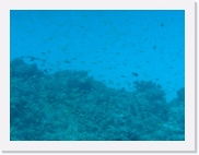 qP3090002 * 614 x 461 * (54KB)