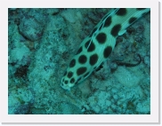 qP3090009 * 614 x 461 * (71KB)