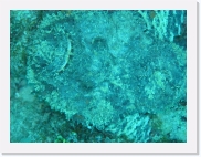 qP3090011 * 614 x 461 * (78KB)