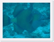 qP3090016 * 614 x 461 * (49KB)