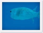 qP3090022 * 614 x 461 * (38KB)