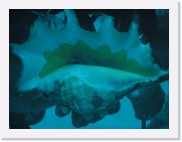 qP3090023 * 614 x 461 * (53KB)