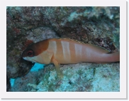 qP3090030 * 614 x 461 * (64KB)