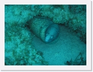 qP3090041 * 614 x 461 * (68KB)