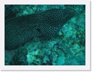 qP3090045 * 614 x 461 * (95KB)