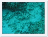 qP3090048 * 614 x 461 * (74KB)