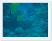 qP3090053 * 614 x 461 * (31KB)