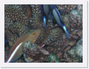 qP3090055 * 614 x 461 * (63KB)