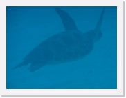 qP3090067 * 614 x 461 * (30KB)