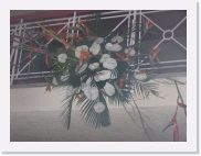 zP3110076 * 614 x 461 * (59KB)