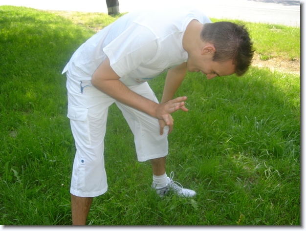 Diapositive suivante