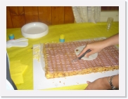 eDSC02393 * 614 x 461 * (115KB)